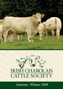 Irish Charolais Cattle Society Advert - Photography by Agri Images