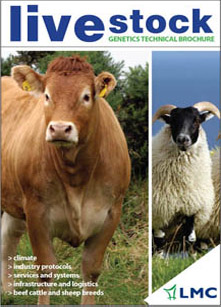 Livestock Meat Commission Advert - Photography by Agri Images
